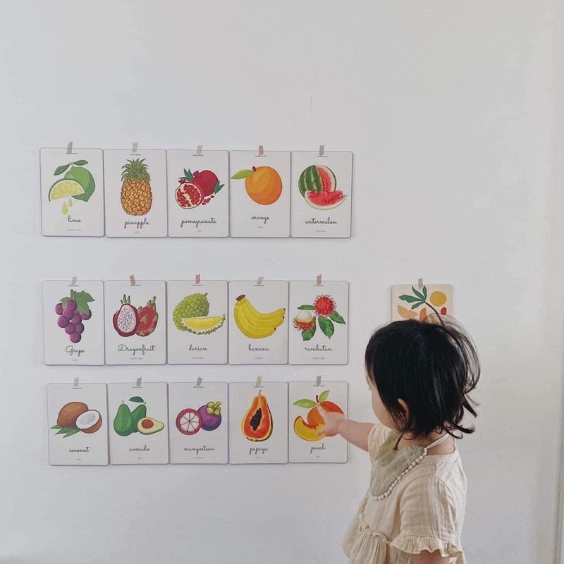 ❤Flash card ❤Thẻ học thông minh cho bé phong cách Hàn Quốc