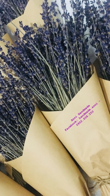 Hộp hoa Lavender Pháp