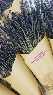 Hộp hoa Lavender Pháp (hàng nhập khẩu Pháp)