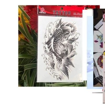 Cá chép đen có râu+ hình mini