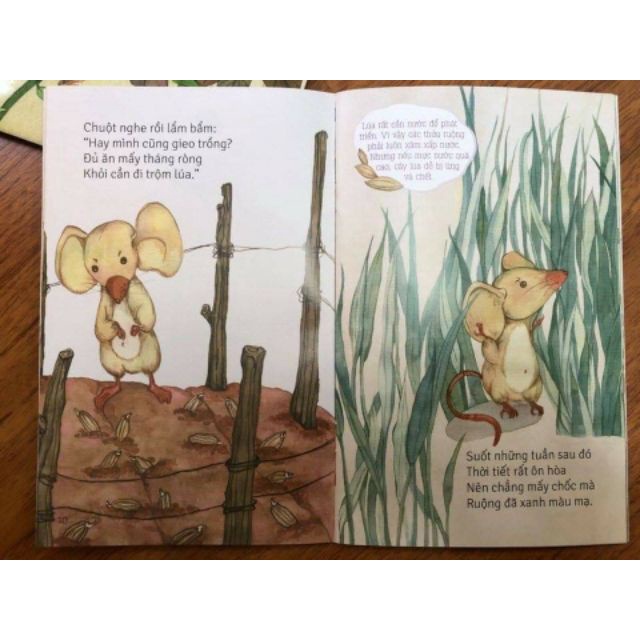 Sách - Bộ thơ Từ những hạt mầm 5 cuốn
