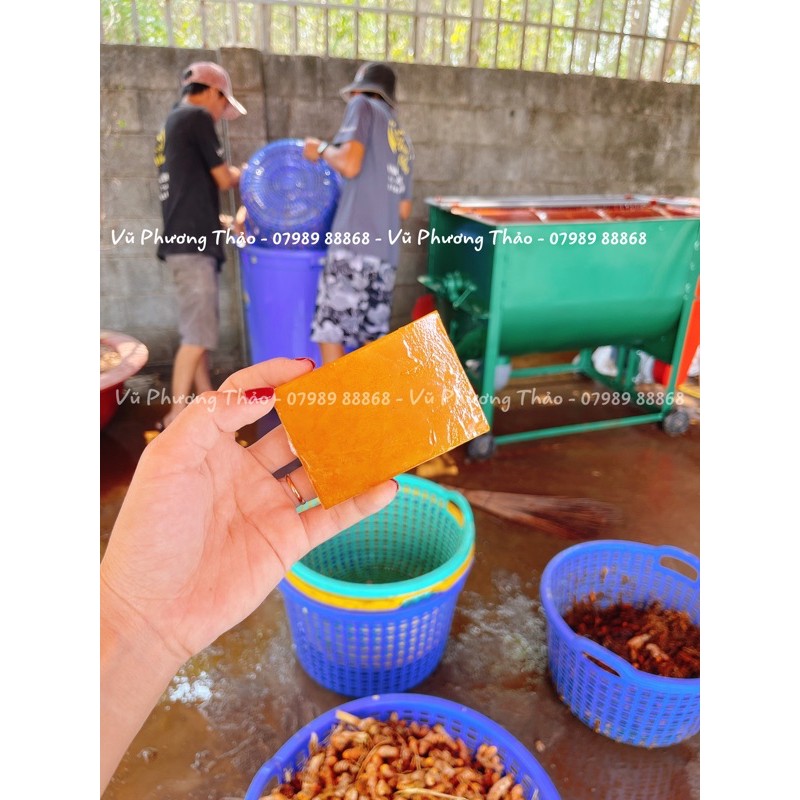 XÀ BÔNG TRẮNG DA SỮA GẠO NGHỆ | BigBuy360 - bigbuy360.vn