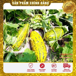 HẠT GIỐNG DƯA BỞ THƠM QUẢ DÀI