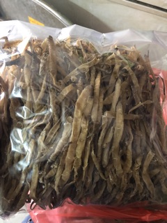 Sá sùng Khô