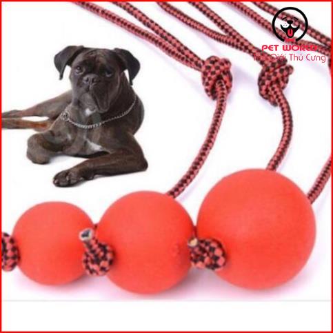 Đồ Chơi Bóng Cao Su Có Dây Huấn Luyện Chó Mèo