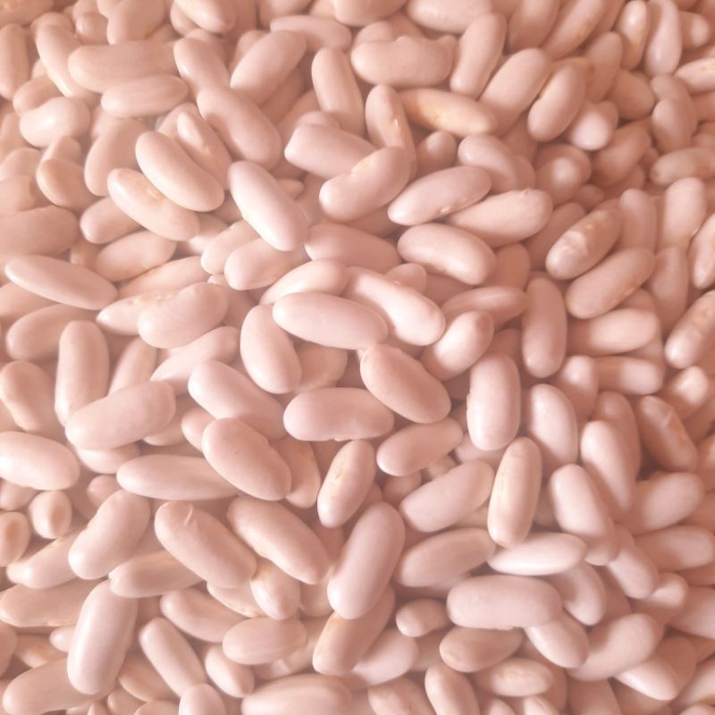 |1KG| Đậu trắng khô Đà Lạt