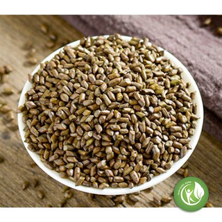 Thảo quyết minh 1kg - nd130