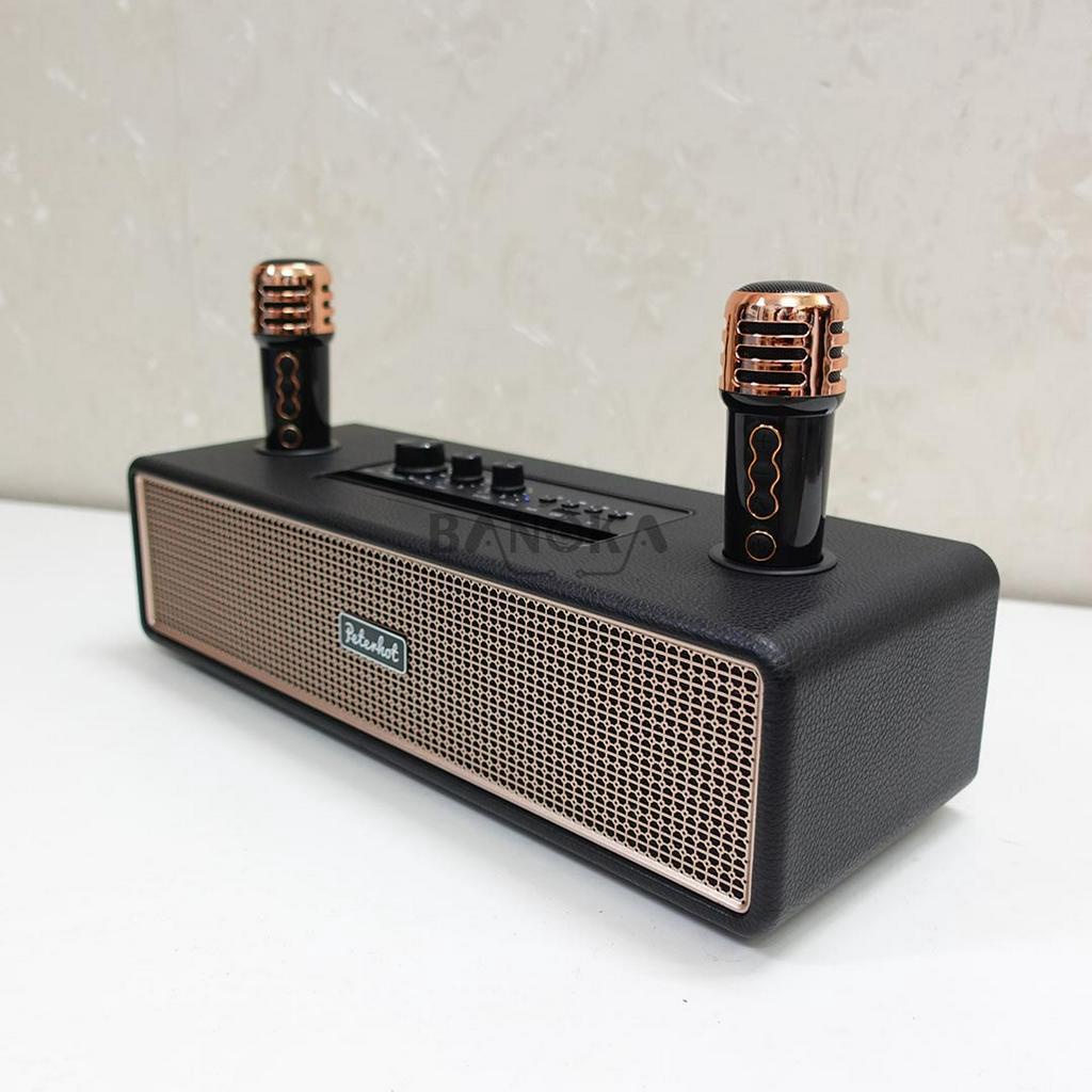 Loa karaoke bluetooth peterhot A2204 tặng kèm 2 tay micro không dây hát karaoke cực đỉnh