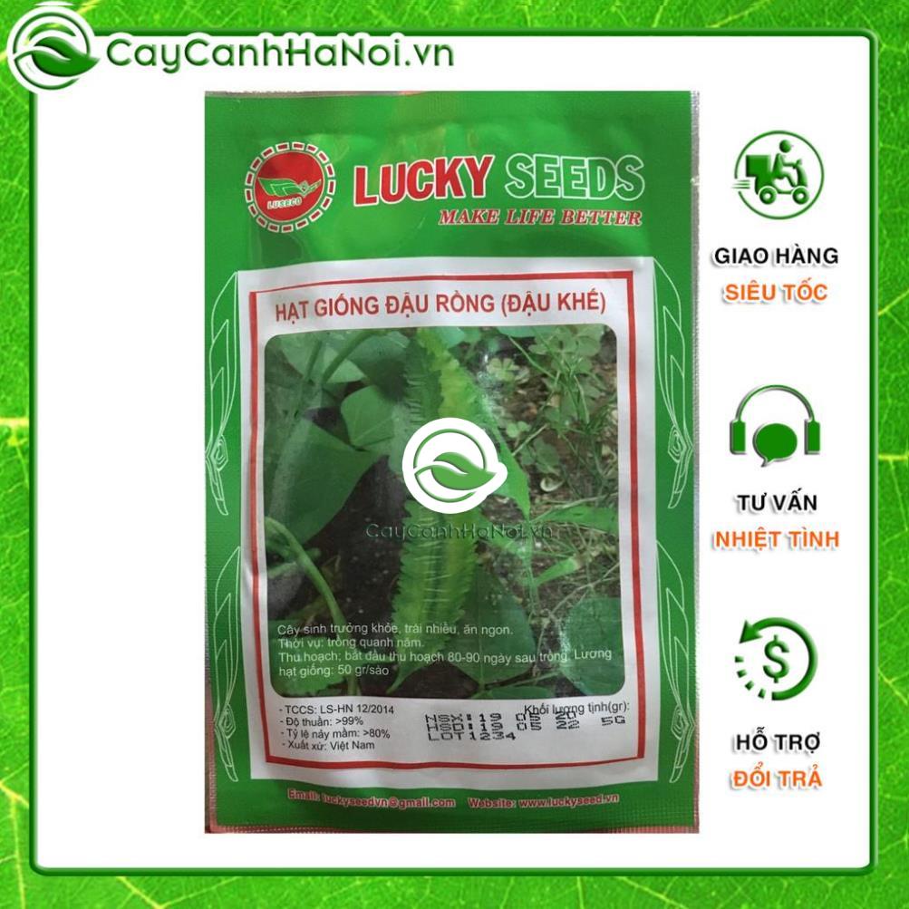 Hạt giống đậu khế, hạt đậu rồng Lucky seeds dễ gieo trồng, gói 5g 🌱