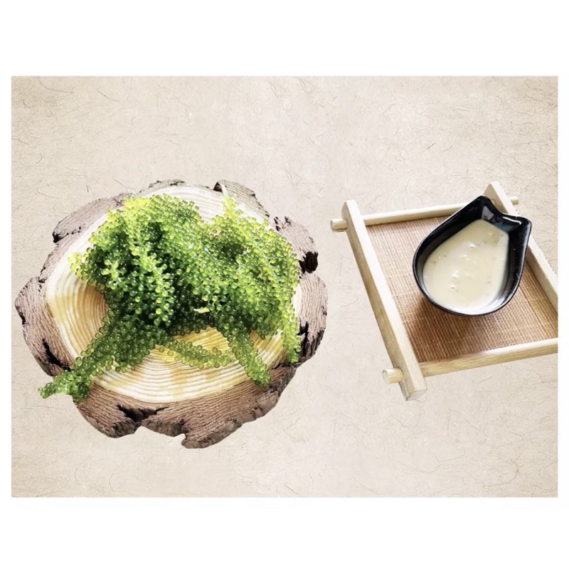 Combo Hộp 200gr (10 Gói) rong nho green Food Organic + tặng 1 Chai sốt mè rang 180ml