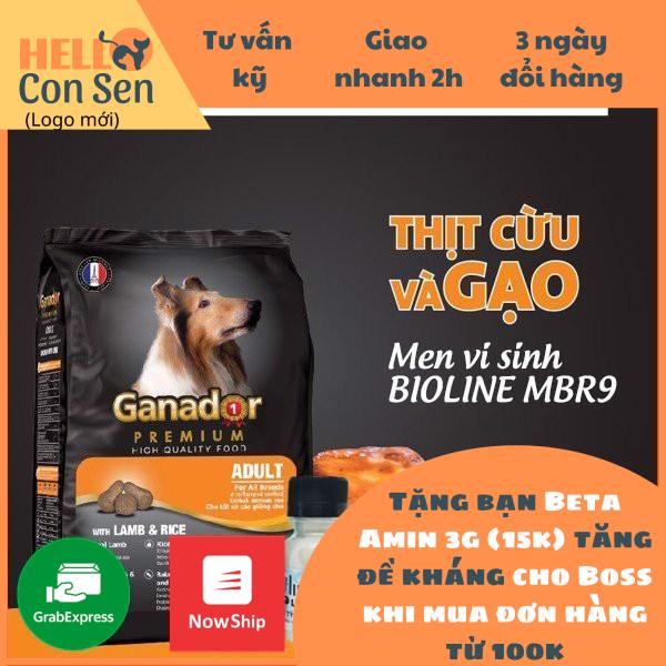 [QUẬN 2]THỨC ĂN CHO CHÓ TRƯỞNG THÀNH VỊ CÁ HỒI VÀ CƠM GANADOR 3kg KÈM MEN VI SINH BIOLINE MBR9 40g