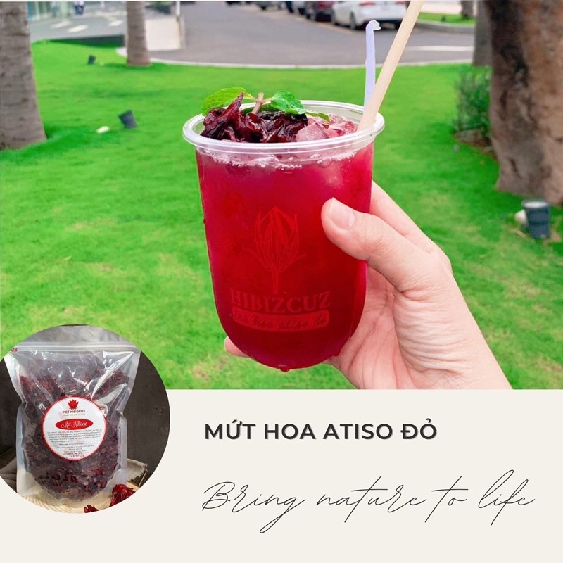 Siro Atiso đỏ (syrup hibiscus) kèm đài hoa giòn giòn cực đã [Hủ 1kg1]