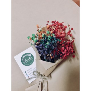 ❤️FREESHIP❤️[SỈ GIÁ RẺ] Bó hoa baby khô mini trang trí, chụp ảnh sản phẩm,...
