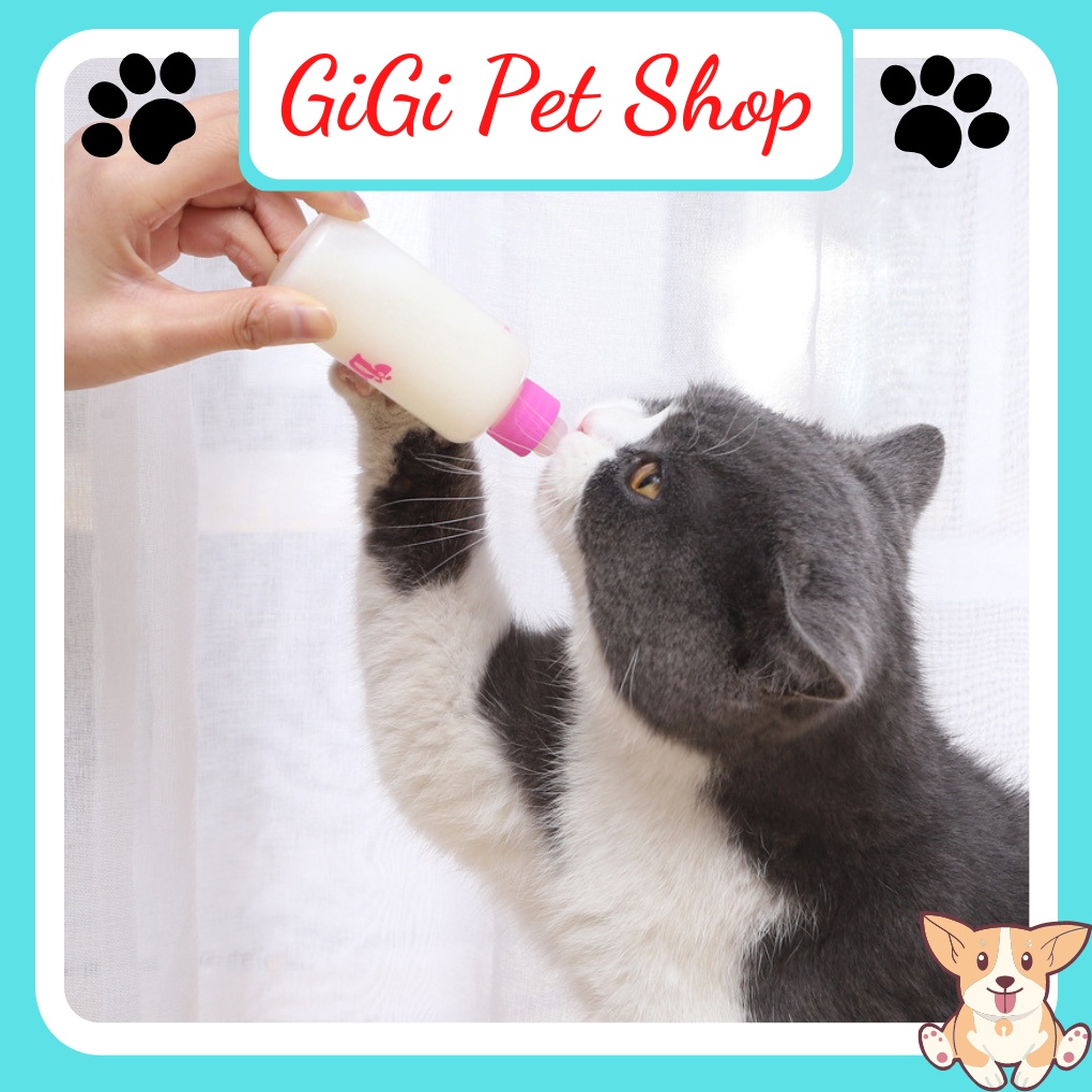 Bình ti chó mèo 50cc bú ngoài có núm vú mềm silicon cho thú cưng sơ sinh uống sữa hoặc thuốc - GiGi Pet Shop