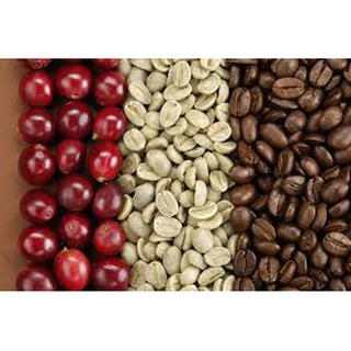 CÀ PHÊ ARABICA, CULI VÀ ROBUSTA 500gr (Rang xay& Nguyên Chất)