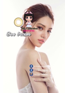 Lens vassen Bee brown
