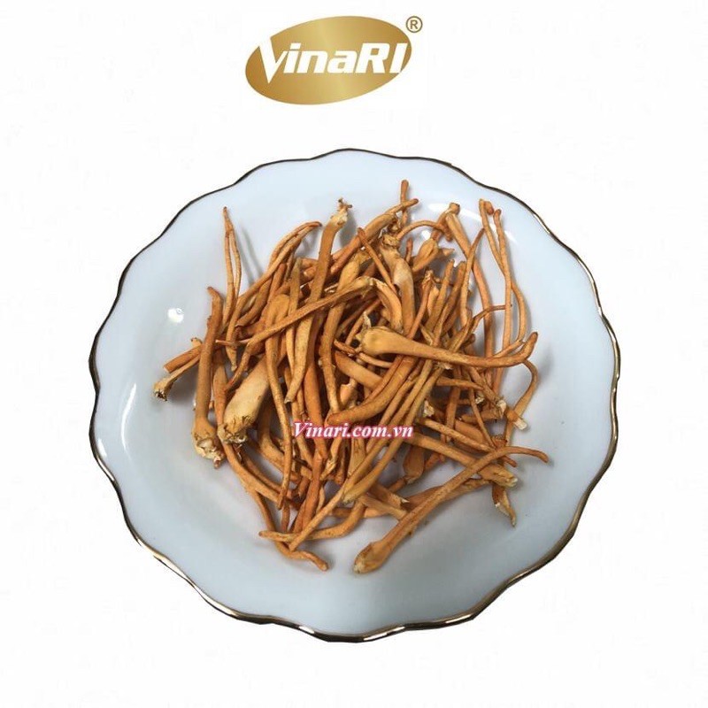 Đông Trùng Hạ Thảo Quả Thể Khô 10gr VINARI | BigBuy360 - bigbuy360.vn