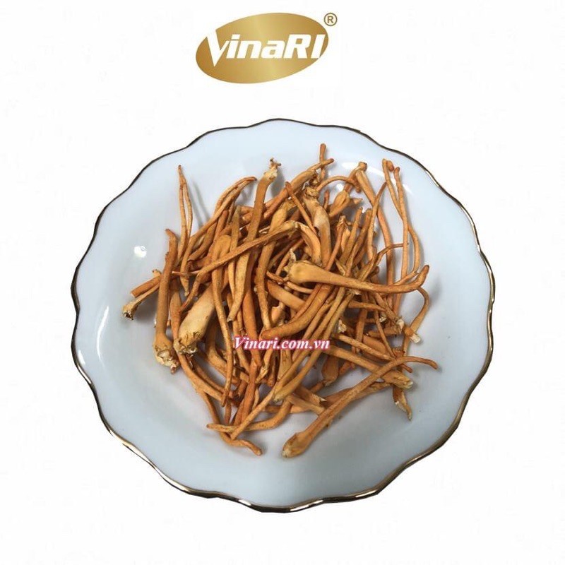 [GIAO 2H] Đông Trùng Hạ Thảo Quả Thể Khô 10gr - VINARI