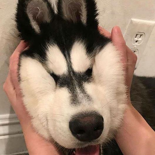 Truyện cũ cánh cam