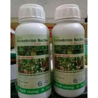 Nấm đối kháng Trichoderma