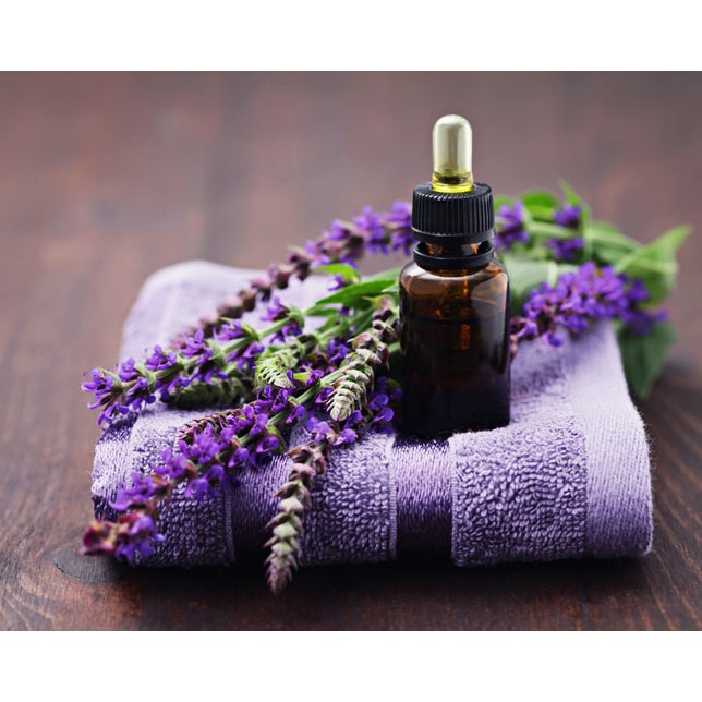 Tinh dầu oải hương ( Lavender esence oil)