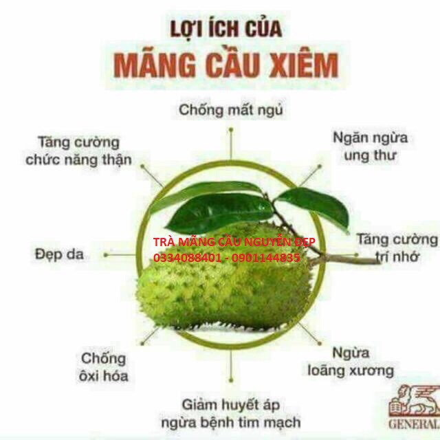 *(500G)* TRÀ MÃNG CẦU XIÊM NGUYỄN ĐẸP | BigBuy360 - bigbuy360.vn