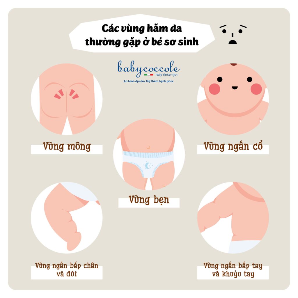 Phấn rôm nước với tinh bột bắp Babycoccole 125ml và 30ml cho trẻ sơ sinh 0M+  (Baby coccole)