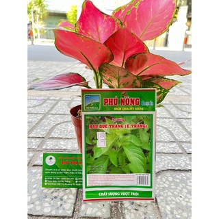 Hạt giống LÁ É trắng mùi thơm chanh xả, rau nấu lẩu gà lá é gói 1gr