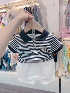 Combo sỉ 8 bộ