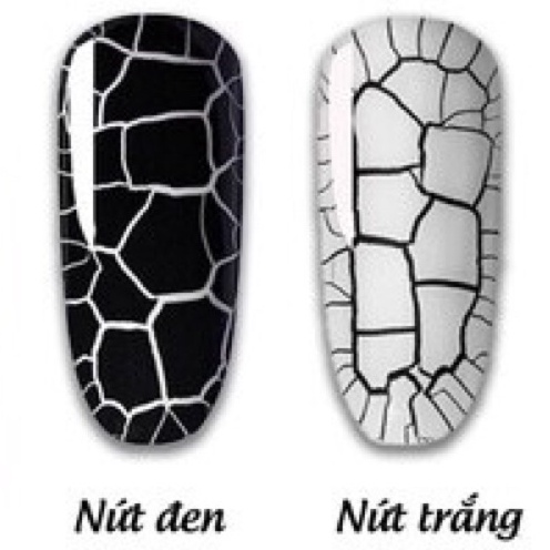 Sơn nứt đen trắng B281 ( freeship )