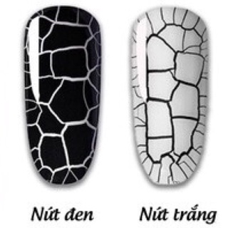 Sơn nứt đen trắng b281