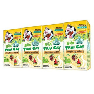 Thanh Hóa - LỐC SỮA TRÁI CÂY KUN HƯƠNG NHIỆT ĐỚI 4X110ML