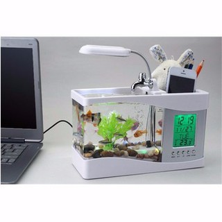 Bể cá cảnh mini thông minh đa năng
