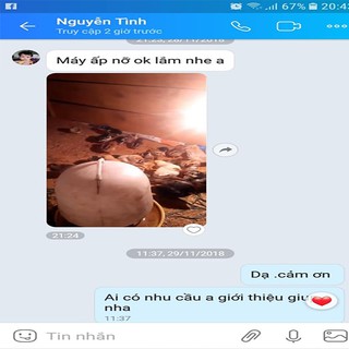 máy ấp trứng tự động B2 tự ráp