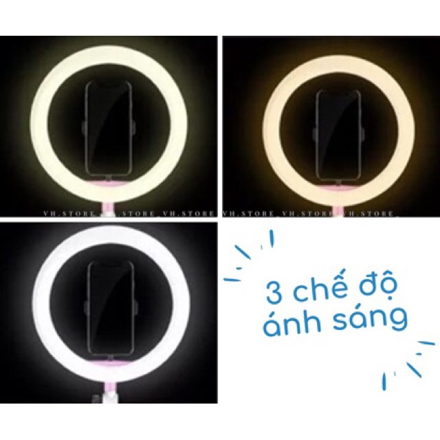 Đèn Led tròn LiveStream Ø 26CM ✓ Trang điểm ✓ Chụp ảnh ✓ Xăm nghệ thuật ✓ SIêu sáng ✓ Có nút chỉnh 3 chế độ sáng