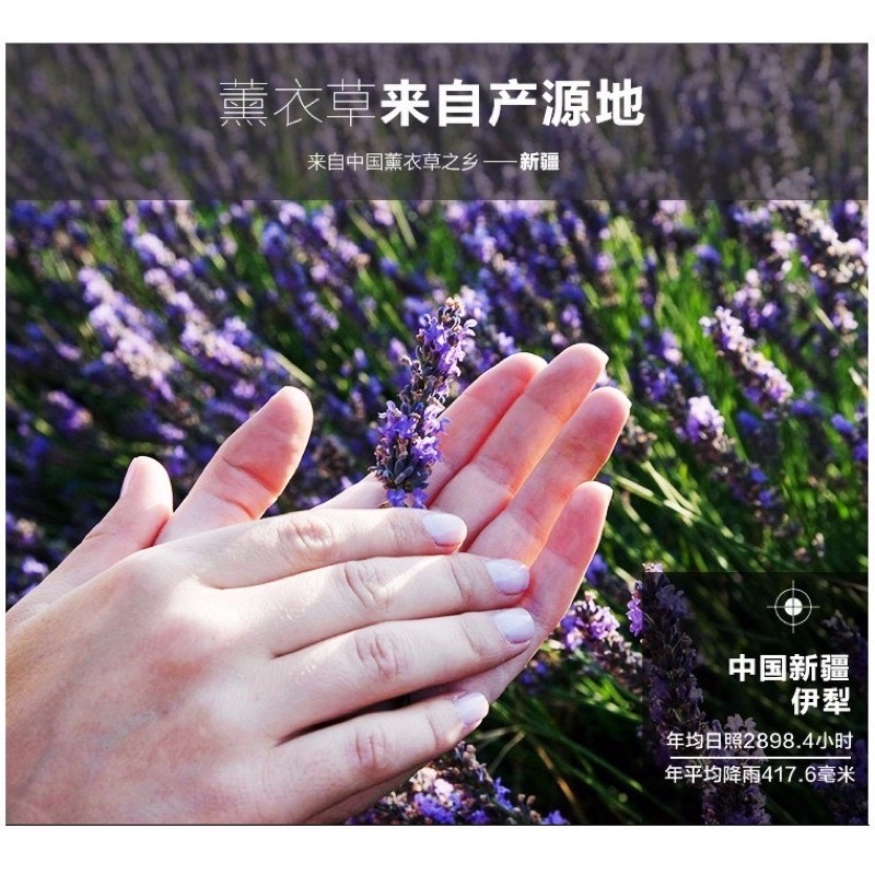 Túi Thơm Nụ Hoa Lavender Khô Hương Dịu Nhẹ