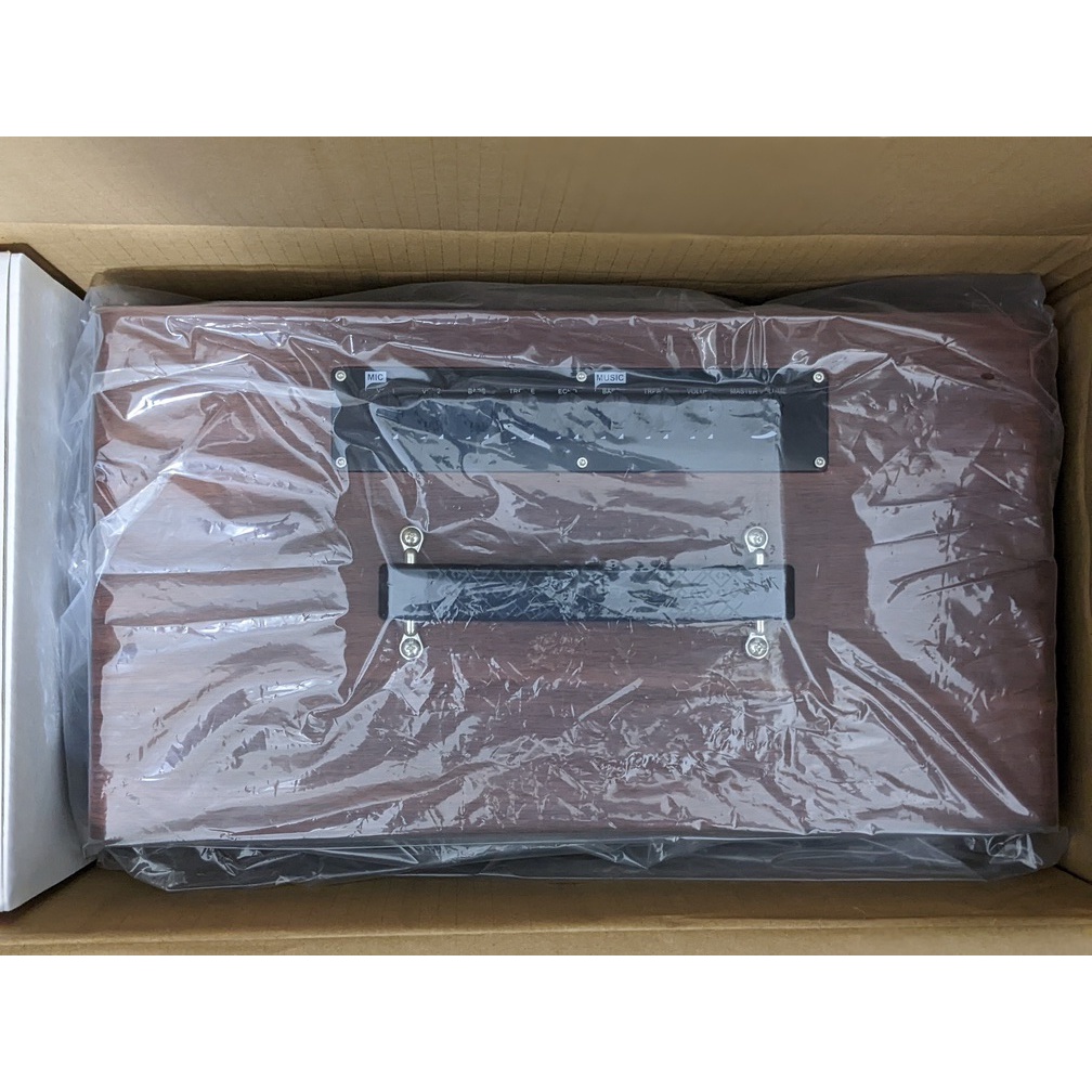 Loa karaoke di động Acnos CS390