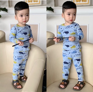 Combo đồ bộ carter
