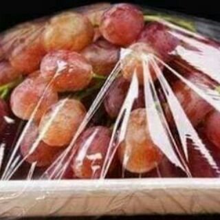 màng bọc thực phẩm FOOD