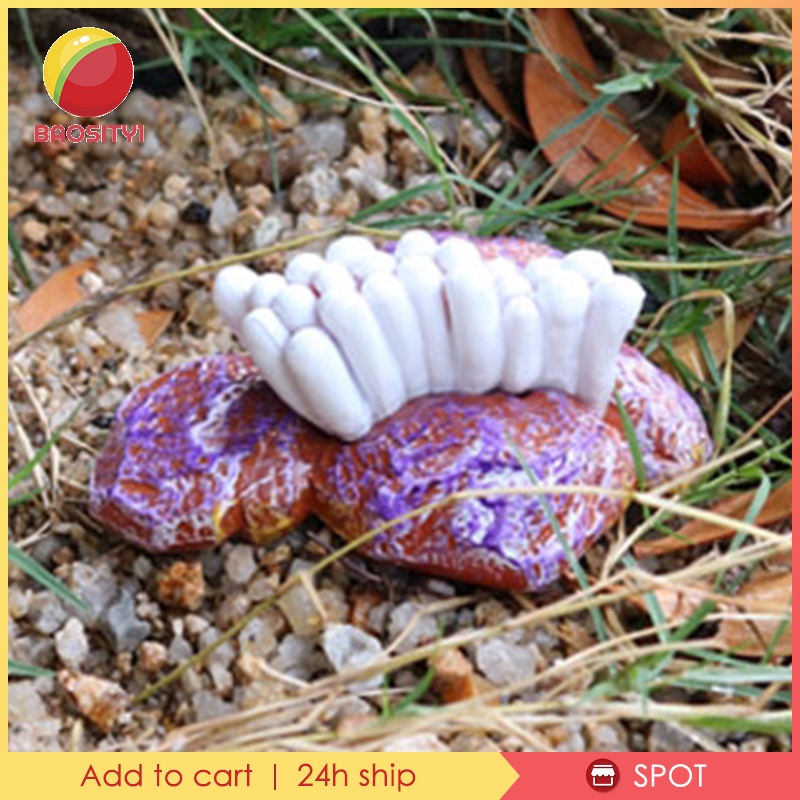 [Baosity 1] 4 Đồ Chơi Bạch Tuộc Thiên Nhiên Dạy Học Kích Thích Sự Phát Triển Của Sự Sống