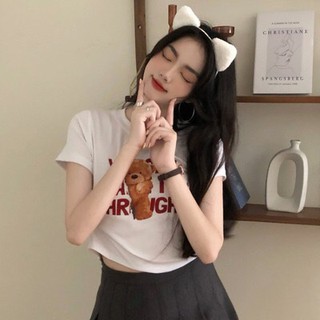 áo thun hoạ tiết gấu