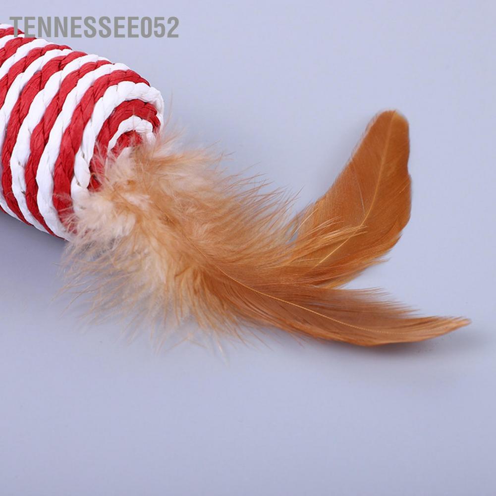 Tennessee052 Cat Feather Toy Scratch Resistant Paper Rope Multipurpose Interactive Rolling for Cats