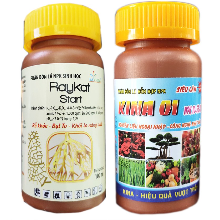 Bộ phân bón bung đọt mai và hồng cực hiệu quả (siêu lân + raykat)