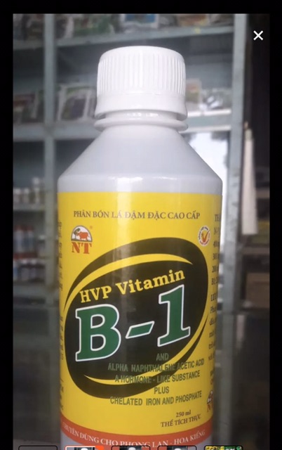 VITAMIN B1-HVP Phân bón lá đậm đặc cao cấp - 250ml