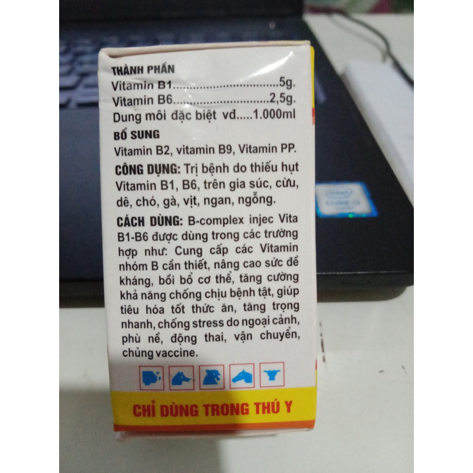 Bcomplex tiêm hoặc uống b1 b6 b2 b9 vitamin pp thú y tăng sức đề kháng kich thich tiêu hóa lợn gà chọi đá chó mèo chim