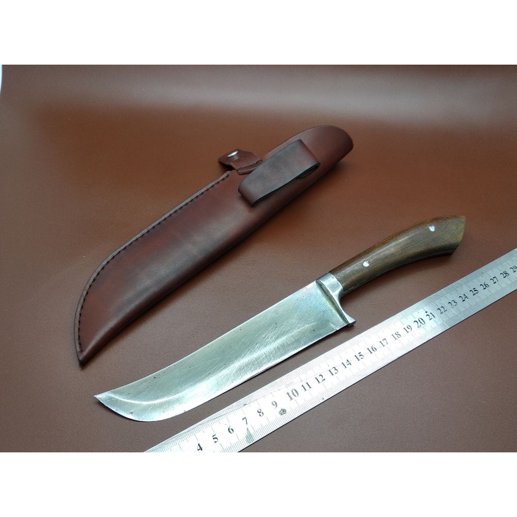 Bao da dã ngoại sinh tồn