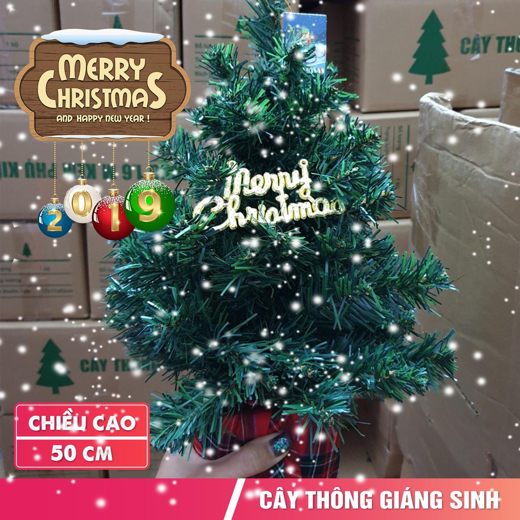 Cây thông Noel trang trí cao 50cm 🎄 FREESHIP 🎄 Cây thông Noel mini trang trí đầy đủ phụ kiện cao 50m mẫu C12