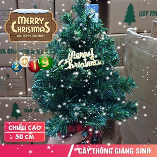 Cây thông mini để bàn Greennetworks