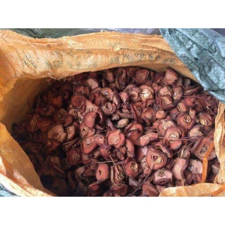 Táo Mèo 1kg