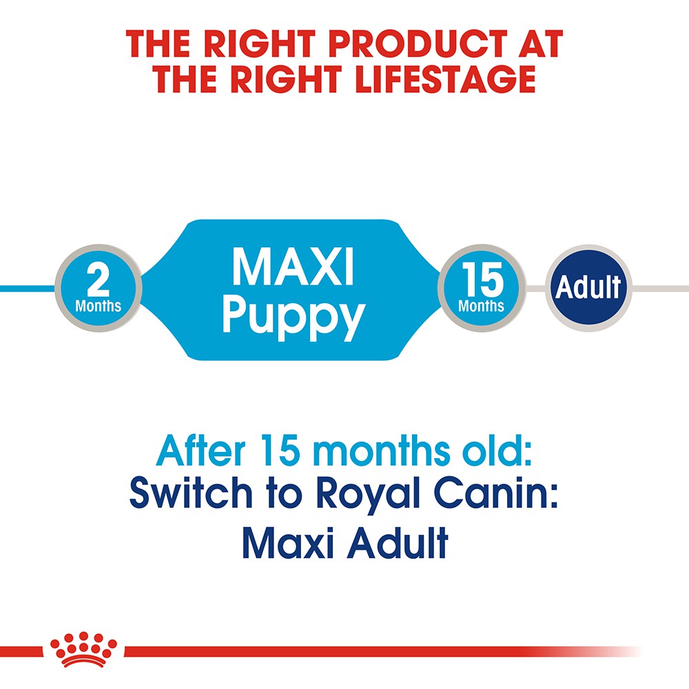 [Hộp 10 Gói] Pate Royal Canin Maxi Puppy Cho Chó Con Giống Lớn (140g)